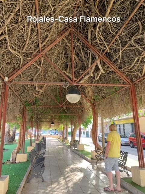 Casa Flamencos Villa Rojales Ngoại thất bức ảnh