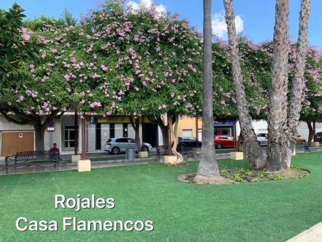 Casa Flamencos Villa Rojales Ngoại thất bức ảnh